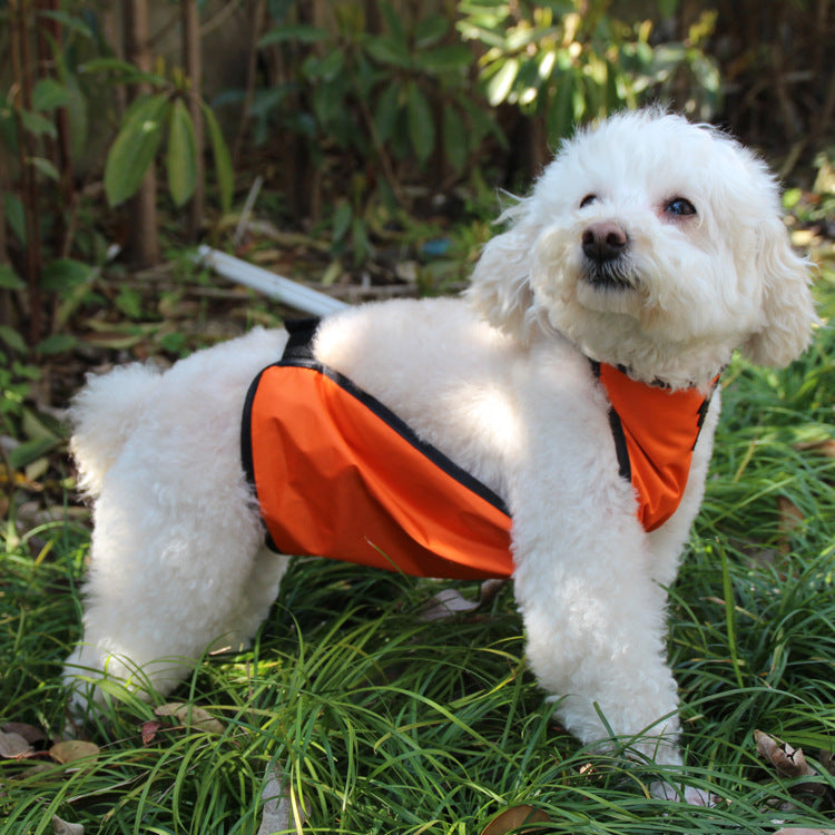 Anti dirty and anti wet clothes for pet's belly pocket