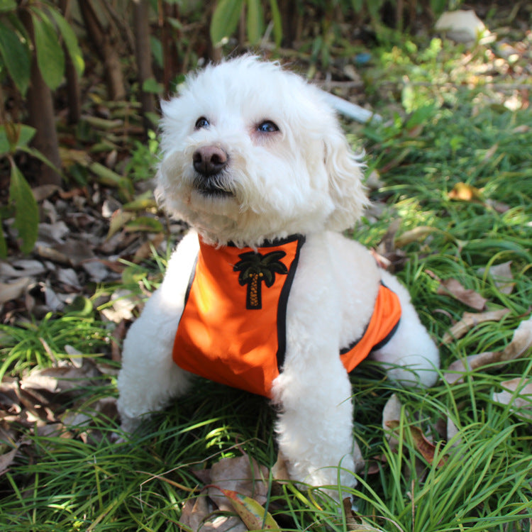 Anti dirty and anti wet clothes for pet's belly pocket