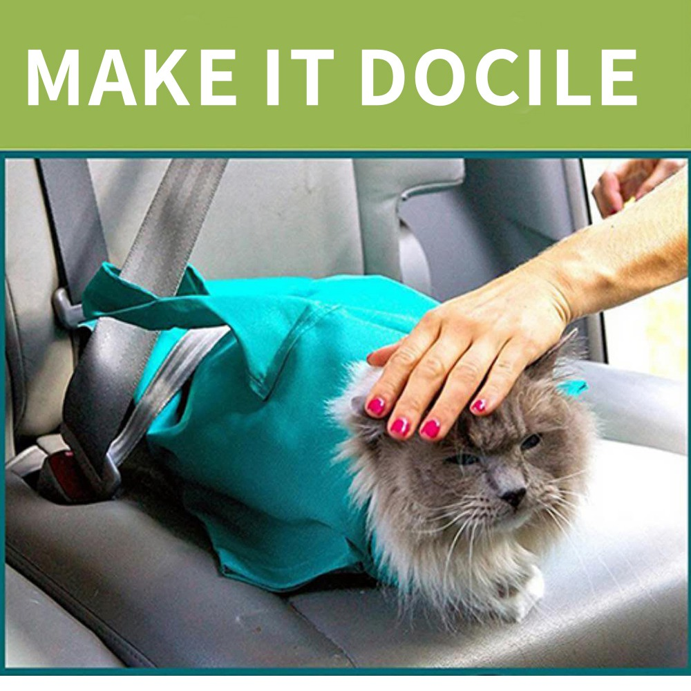 Pet Outdoor One Shoulder Crossbody Backpack