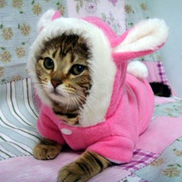 Pet Cat Clothes Mascotas Costume Clothes/ Hoodies