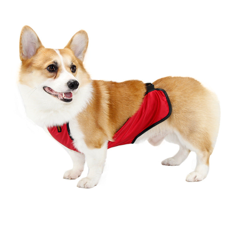 Anti dirty and anti wet clothes for pet's belly pocket
