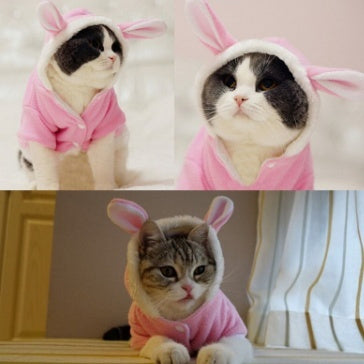 Pet Cat Clothes Mascotas Costume Clothes/ Hoodies